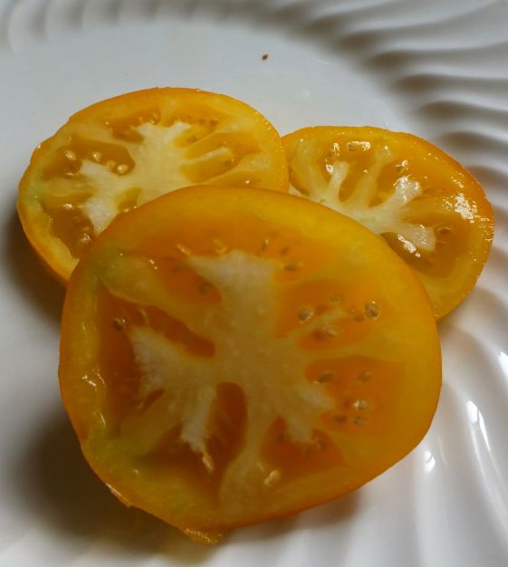 Yellow Brandywine Tomato