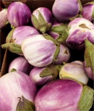 Biaki's Kitchen - S A M P H O K (Scarlet Eggplant) #Samphok  #ScarletEggplant #BitterTomato