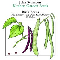 Tricolor Snap Bush Bean Mixture  John Scheepers Kitchen Garden Seeds