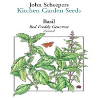 Red Freddy Genovese Basil John Scheepers Kitchen Garden Seeds