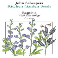Indigo Blue Beauty Tomato  John Scheepers Kitchen Garden Seeds