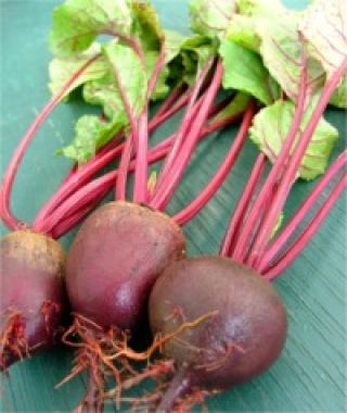 Boro Beet 