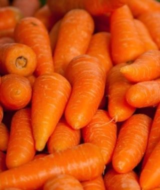 Royal Chantenay Carrot