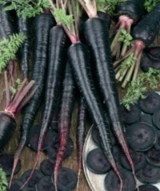 Black Nebula Carrot