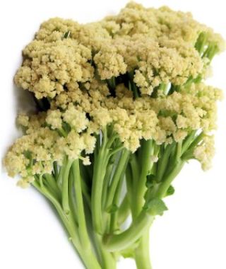 Fioretto Stick Cauliflower