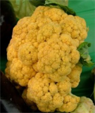 Orange Sunset Cauliflower