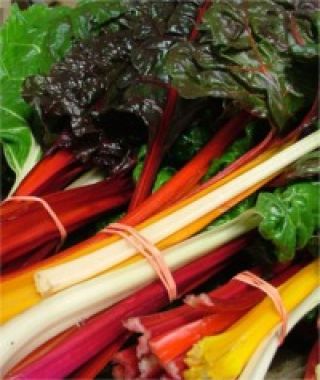 The Kaleidoscopic Swiss Chard Blend