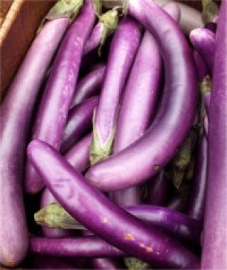 Ping Tung (Long) Asian Eggplant