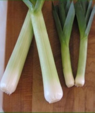 Lincoln Leek