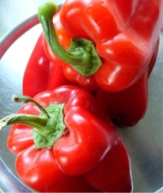 Romeo Bell Pepper