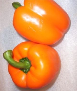 Orange Sun Bell Pepper