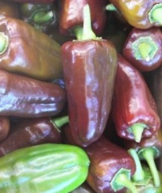 Sweet Chocolate Pepper