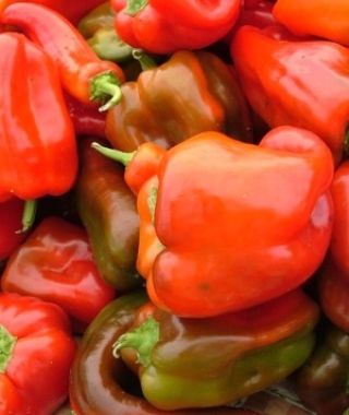 Quadrato d'Asti Rosso Bell Pepper