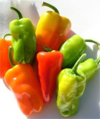 Cajun Bell Pepper