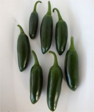 La Bomba Jalapeno Hot Chile Pepper