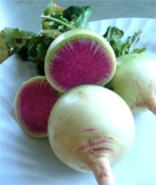 Shrinmei Round Red Core Daikon Radish