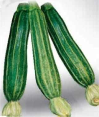 Striato d'Italia Zucchini