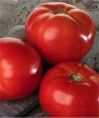 Bella Rosa Tomato