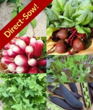 The Early Bird Direct-Sow Veggie Garden