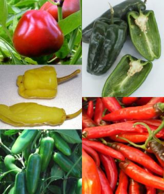 The Safe Hot Pepper Sampler