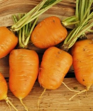 Oxheart Carrot 