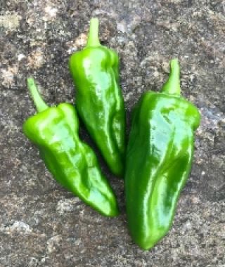 De Padron Hot Chile Pepper