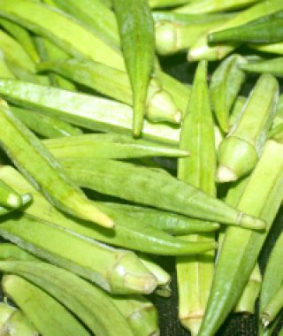 Clemson Spineless Okra