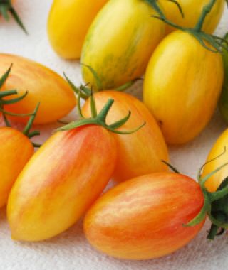 Artisan Blush Cherry Tomato