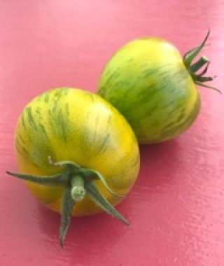 Green Zebra Tomato