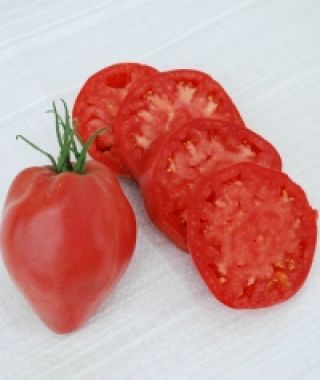 Hungarian Heart Tomato