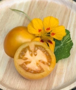 Mandarin Cross Tomato