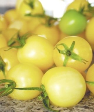 White Cherry Tomato