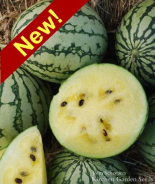 Petite Yellow Watermelon