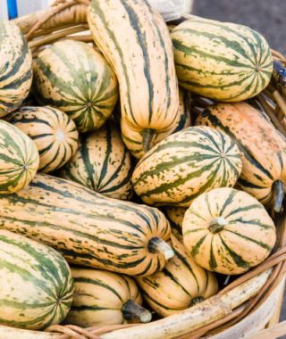 Honey Boat Delicata Squash