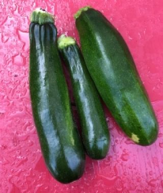 Milano Black Zucchini